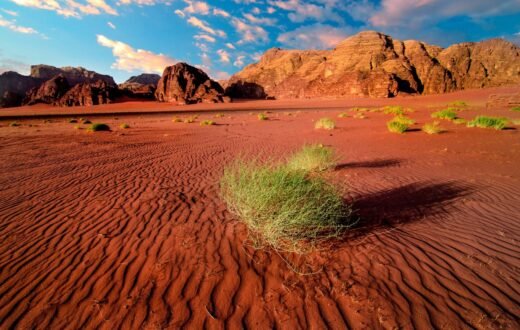 Le désert de Wadi Rum