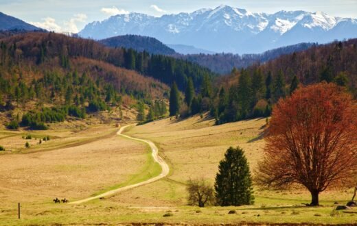 Randonnée en buggy / quad / vélos électriques