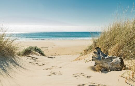 Activités team-building sur la plage