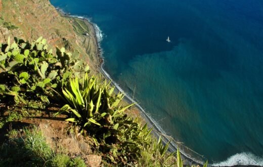 Croisière en Catamaran