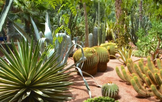 Atelier cuisine dans une mini-ferme bio