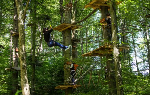 Accrobranche et tyrolienne à Brasov